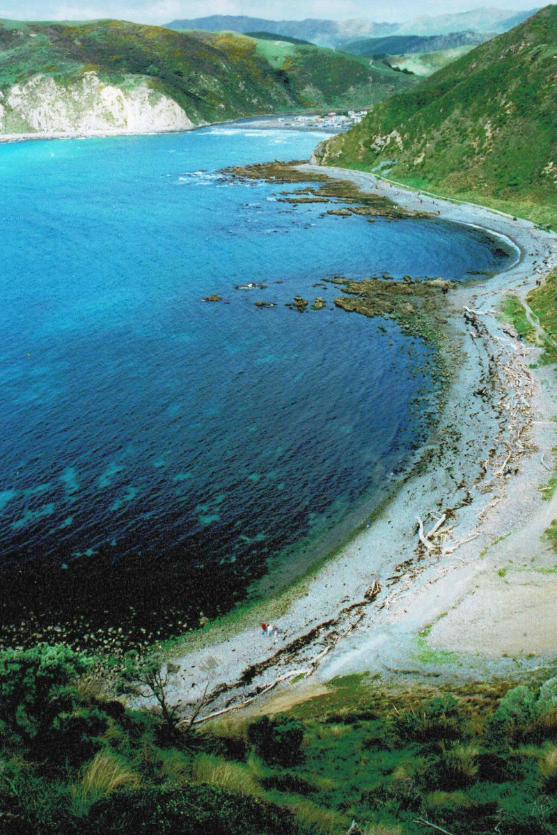 Makara coastline, shot on Fujifilm Velvia